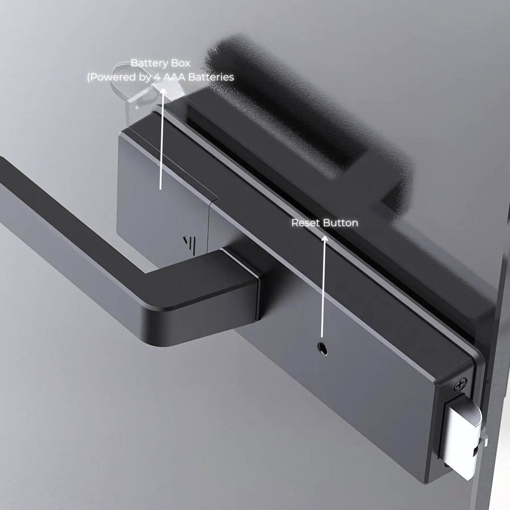 Glass Swing Door Smart Lock